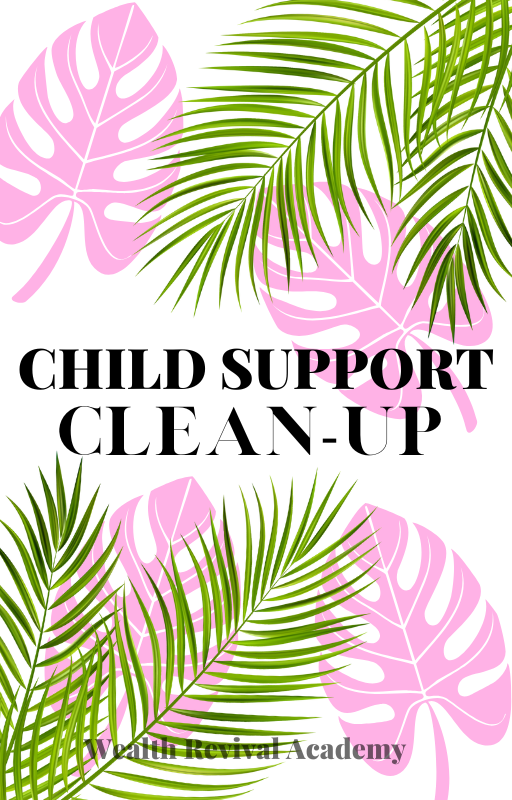 Child Support Clean Up